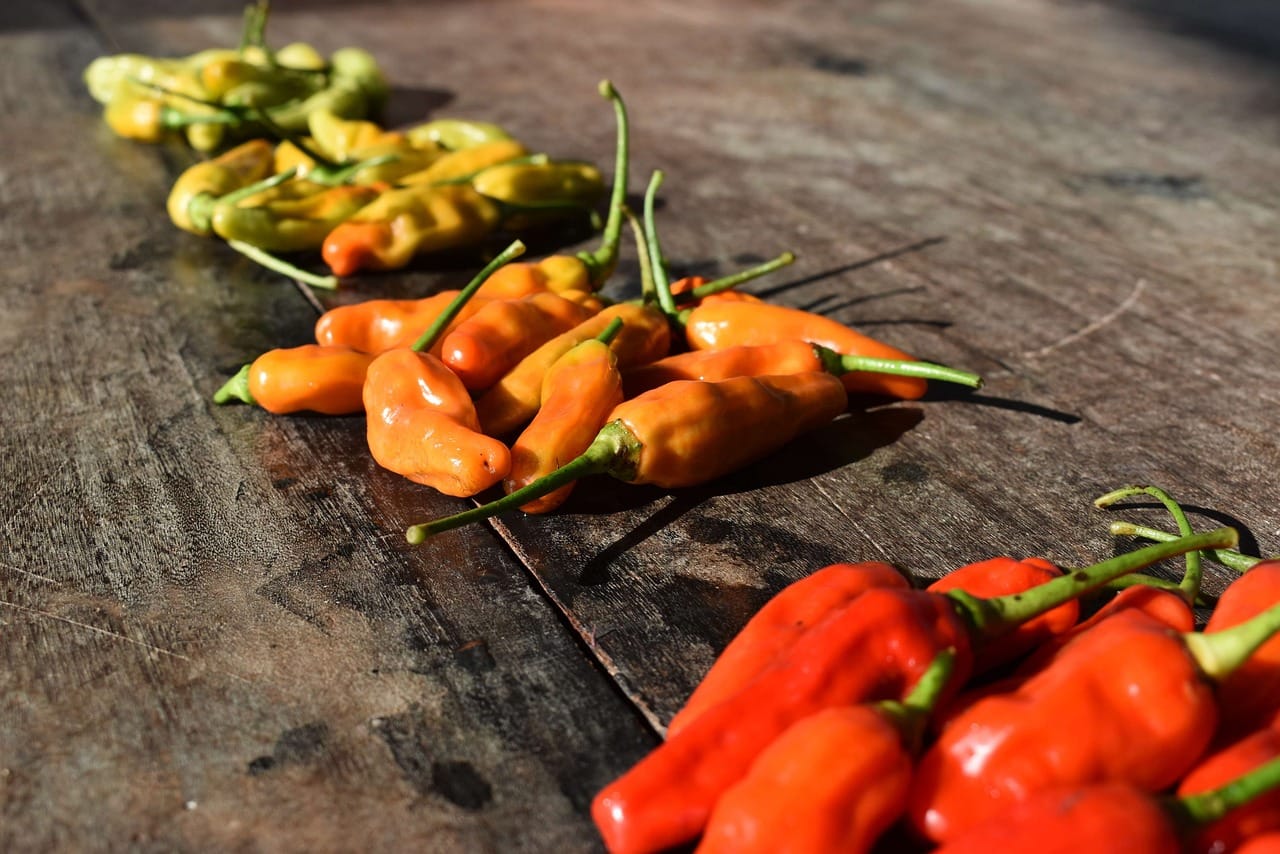 Najlepsze zioła do herbaty prosto z balkonu