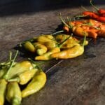 Ziołowe mikstury zdrowotne